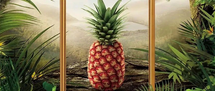 荒诞即商机:奇葩食品背后的底层逻辑