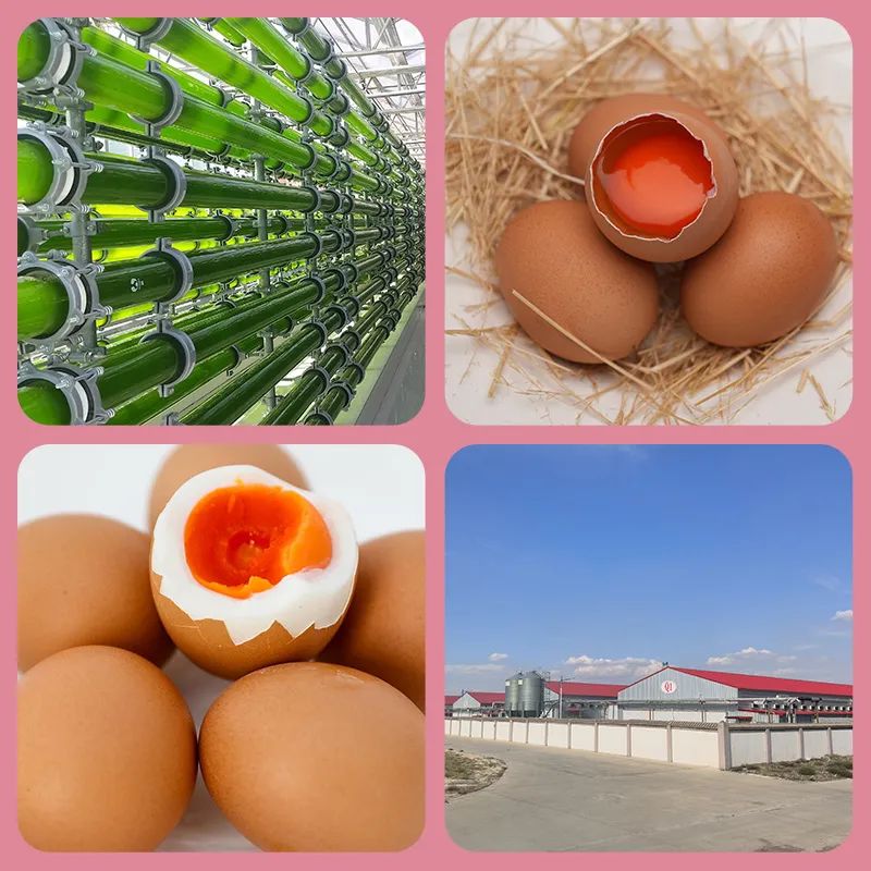 2024 SIAL 西雅展(深圳)