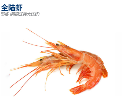 SIAL西雅国际食品展