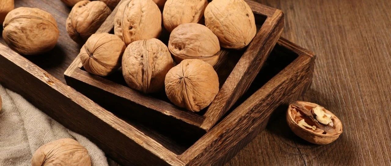 2024 SIAL CUP 咖啡师全能赛圆满收官！冠亚季军揭晓！