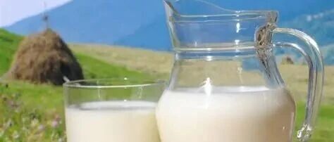 乳业透视：分化阵痛中转型，价值升维里突围