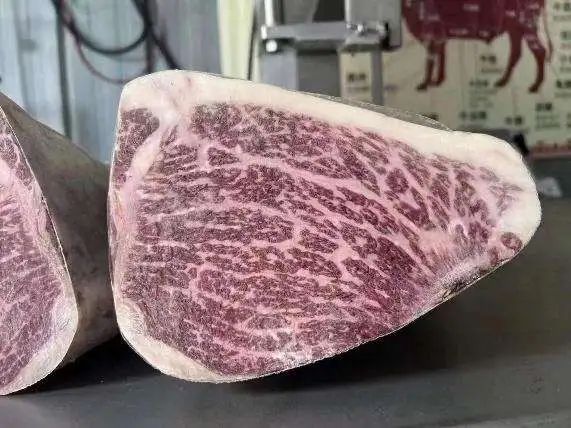 SIAL西雅国际食品展