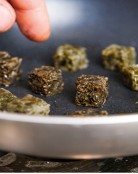 SIAL 西雅展(深圳)