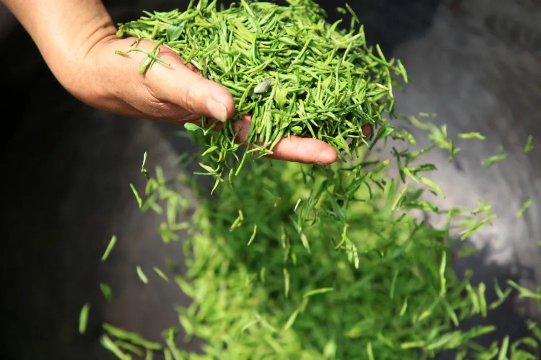 SIAL西雅国际食品展