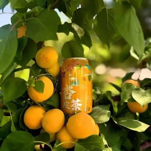 SIAL西雅国际食品展