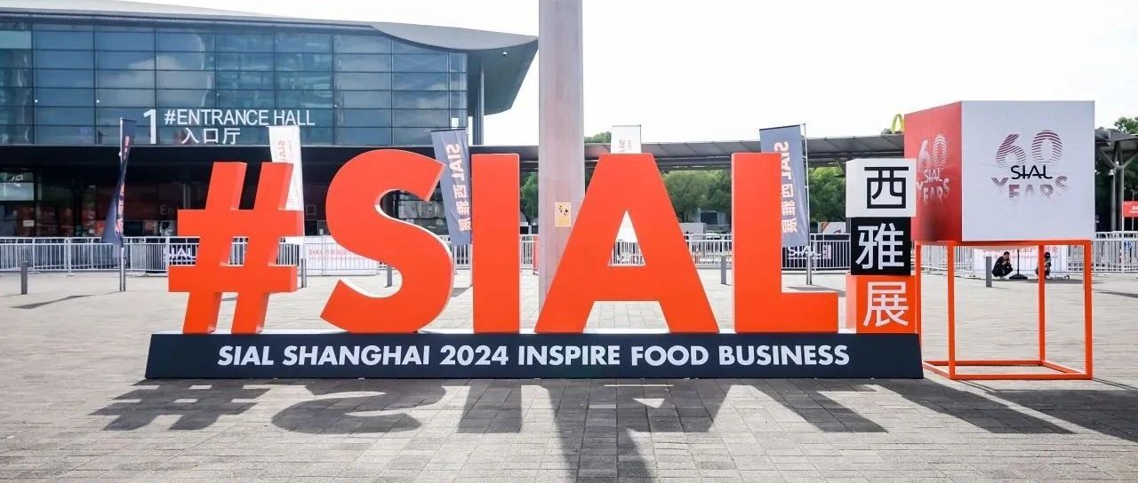 以品牌价值之锚撬动品牌增长