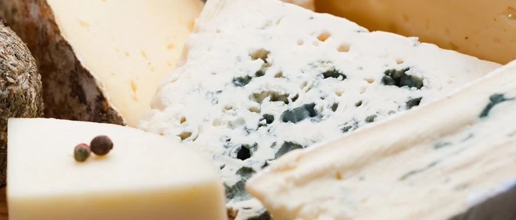 在社媒越来越火的奶酪，未来还能走多远