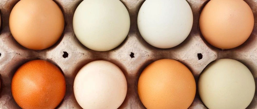 美国鸡蛋有多贵?食品饮料品牌如何应对原料不确定性 | 英敏特洞察